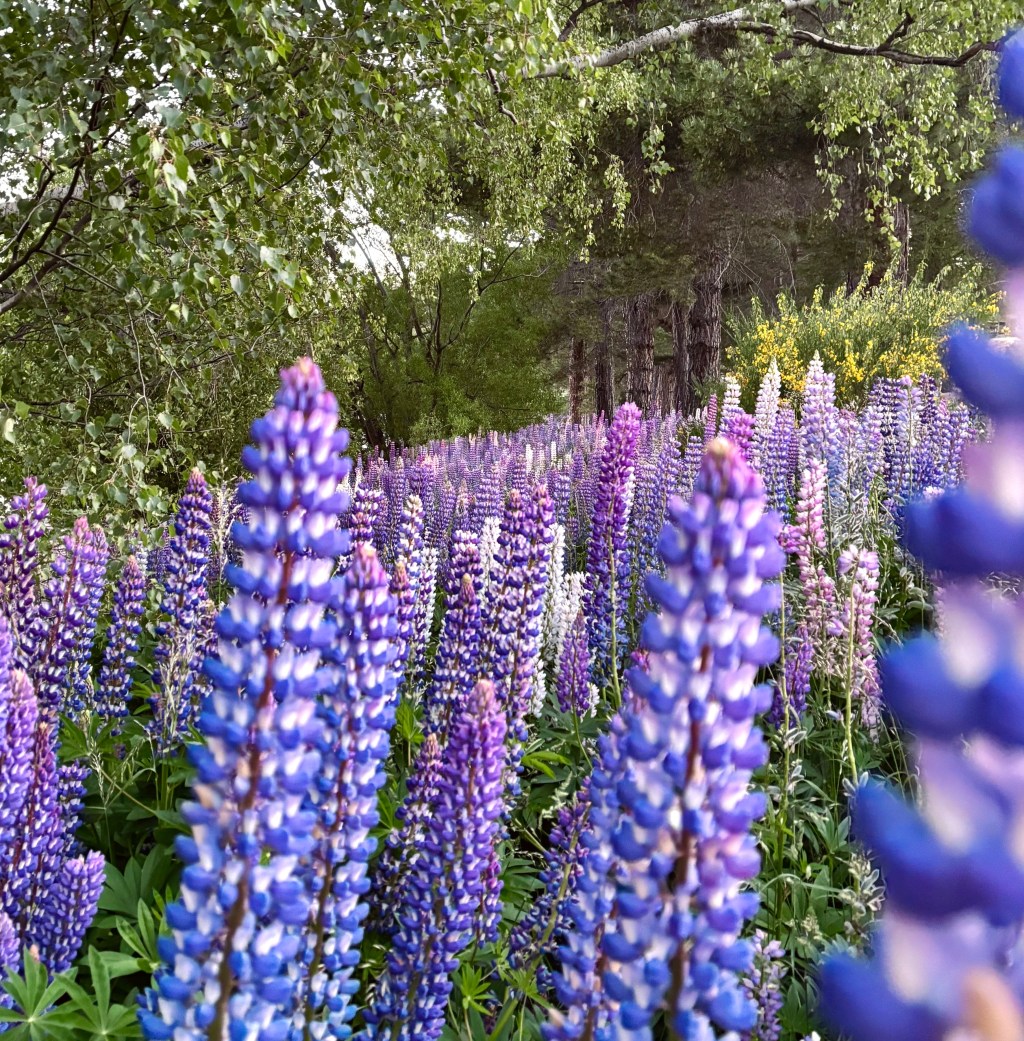 Changing my world with a&nbsp;walk